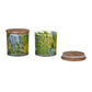 Sante Art Palm Airtight Glass Jars - 2 Pcs